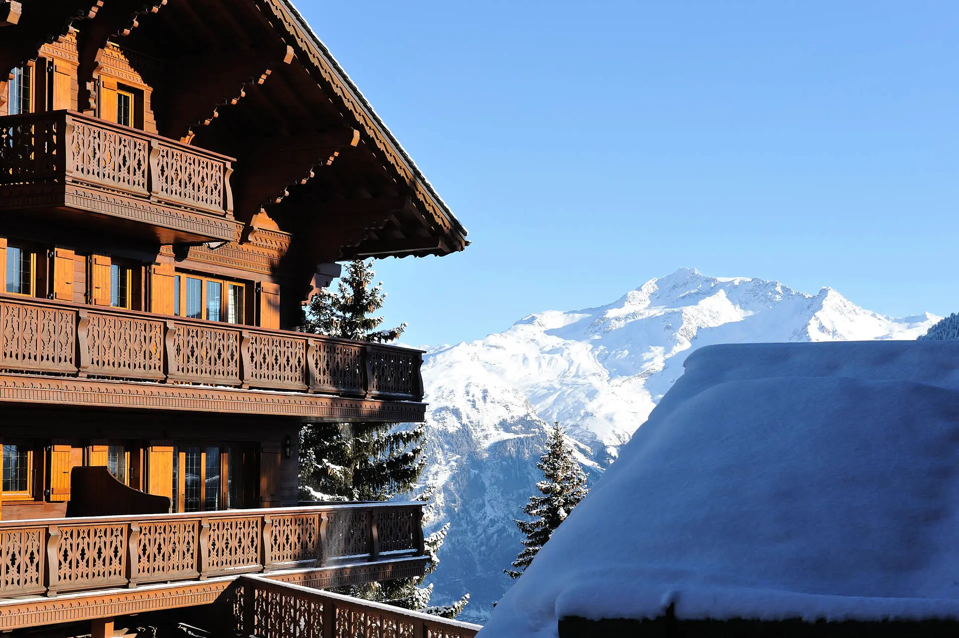 Résidence Les Bleuets - - Courchevel 1650 - 1