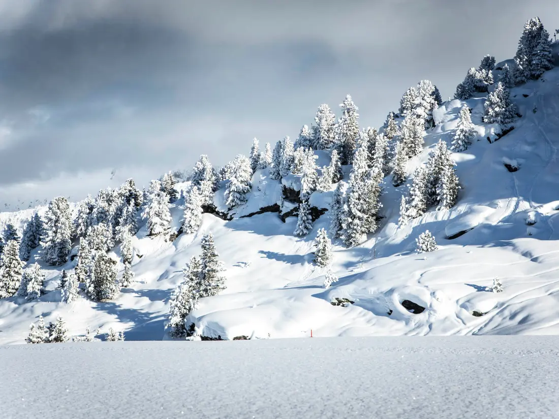Location de Vacances Courchevel 1850 196