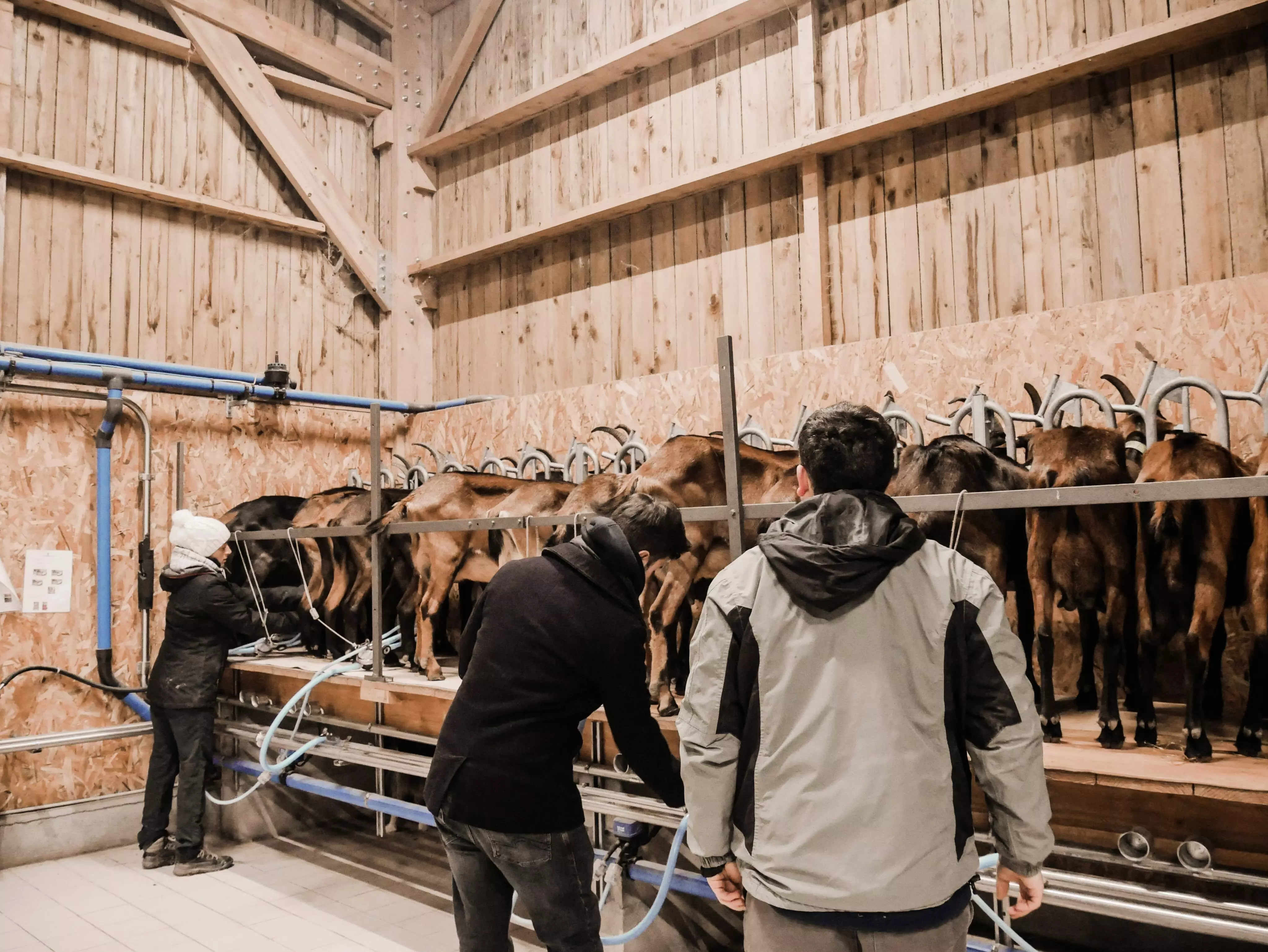 Tiny House : face à l'étendue de la campagne du Loiret - 5