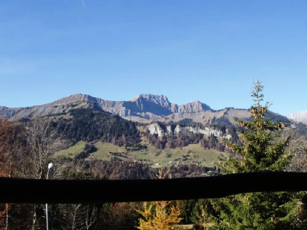Chalet Coumont