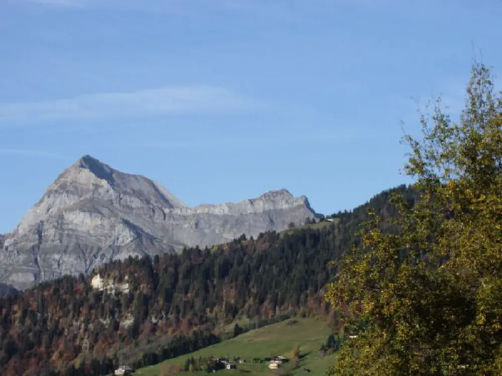 Chalet Coumont