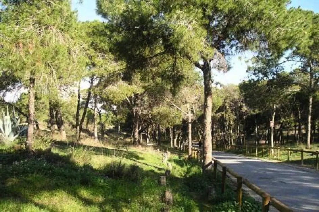 Alannia Costa Blanca 5 étoiles★★★★★