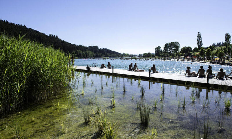 Le Lac des Sapins **** - Cublize - 1