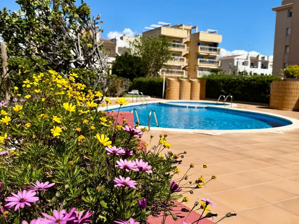 Location de Vacances Cunit 8