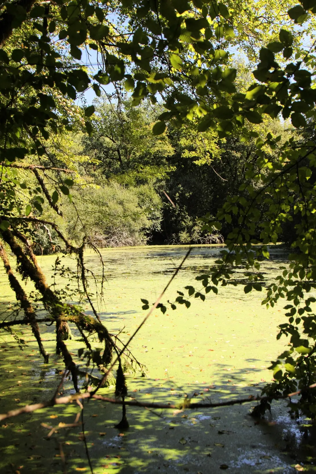 Camping La Peyrugue 3 étoiles★★★