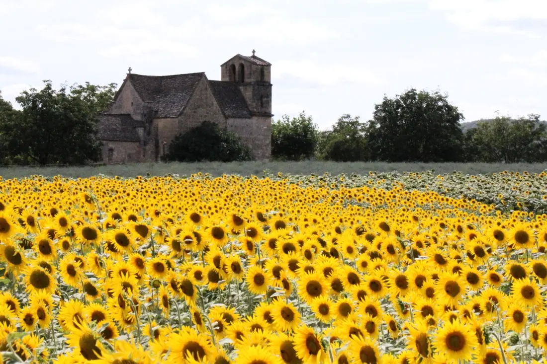 Camping La Peyrugue 3 étoiles★★★