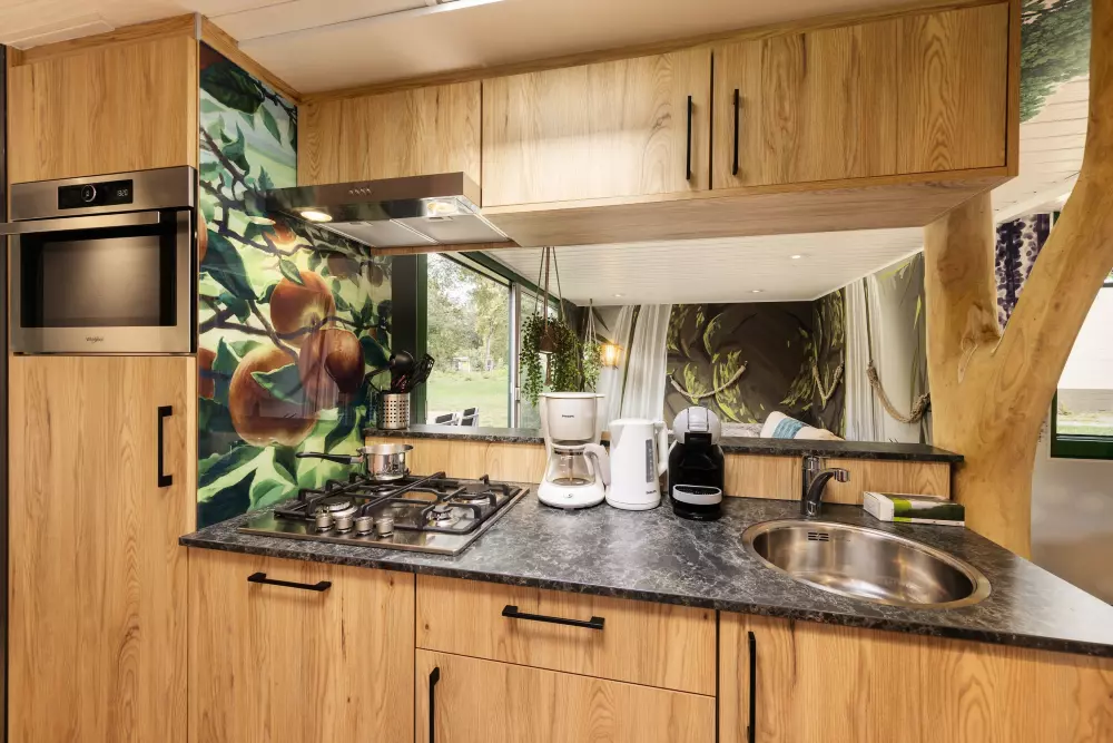 Domaine De Huttenheugte Center Parcs