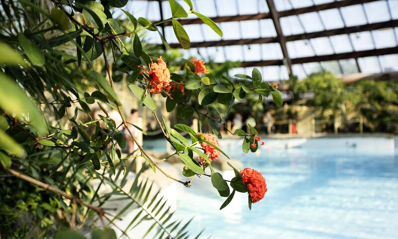 Domaine De Huttenheugte Center Parcs - 1