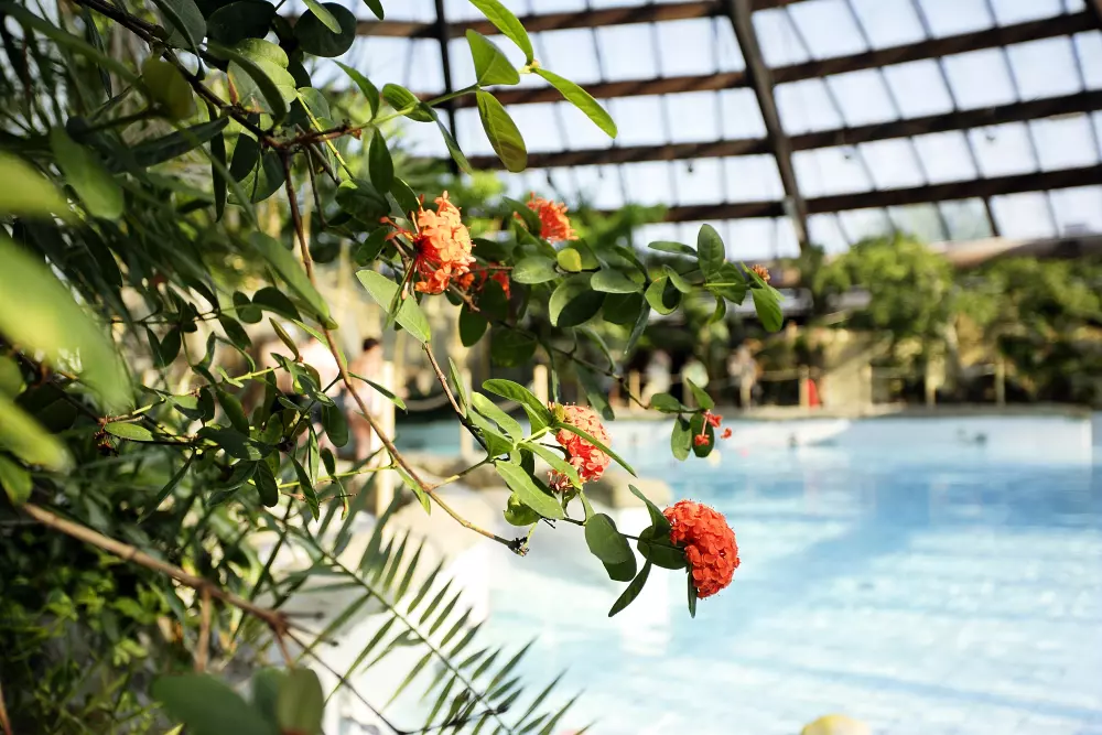 Domaine De Huttenheugte Center Parcs