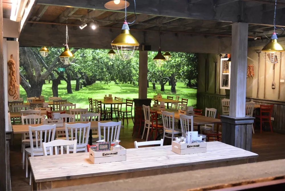 Domaine De Huttenheugte Center Parcs