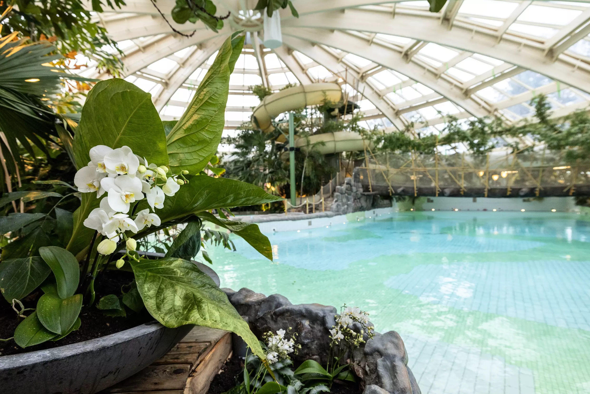 Domaine De Huttenheugte Center Parcs - Dalen