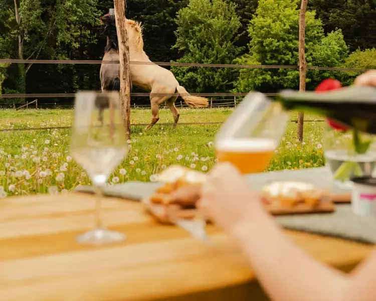 Tiny House : parc naturel régional du Perche - 4