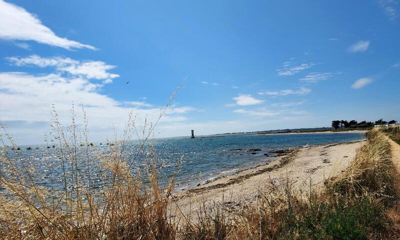 Gîte de France L'avocette 3 épis - - Damgan - 13
