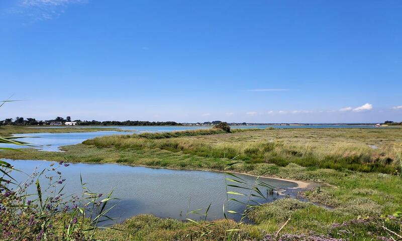 Gîte de France L'avocette 3 épis - - Damgan - 17