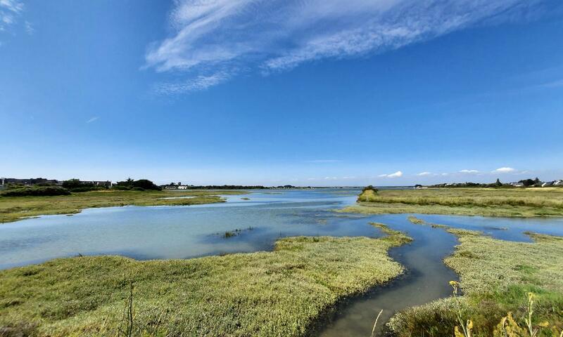 Gîte de France L'avocette 3 épis - - Damgan - 10