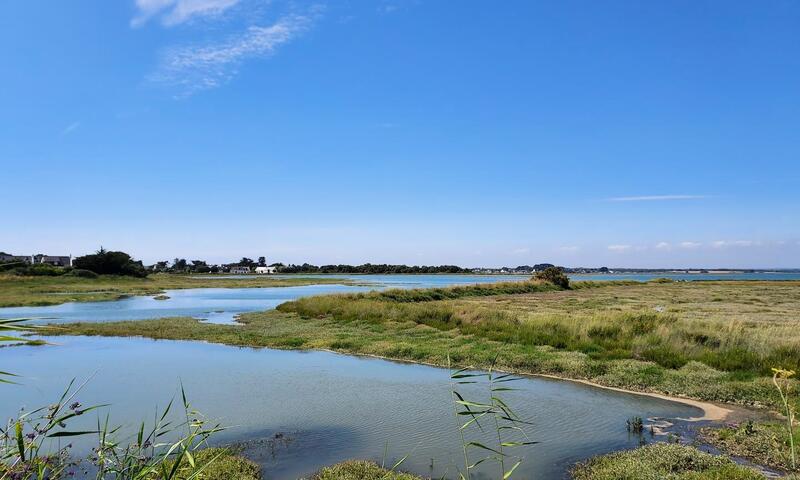 Gîte de France L'avocette 3 épis - - Damgan - 18