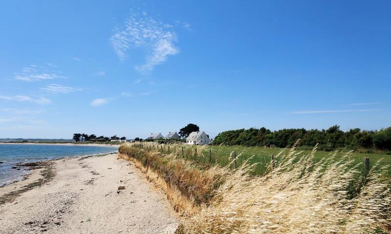 Gîte de France L'avocette 3 épis - - Damgan - 11