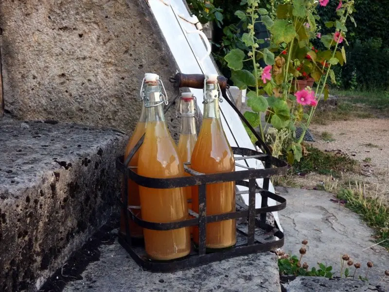 Gîte de France Pollen et propolis 2 épis