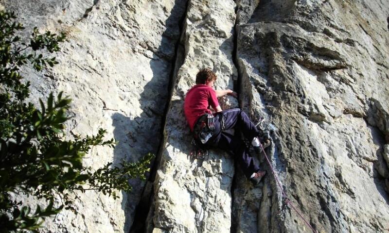 Camping Les Lavandes *** - Darbres - 45