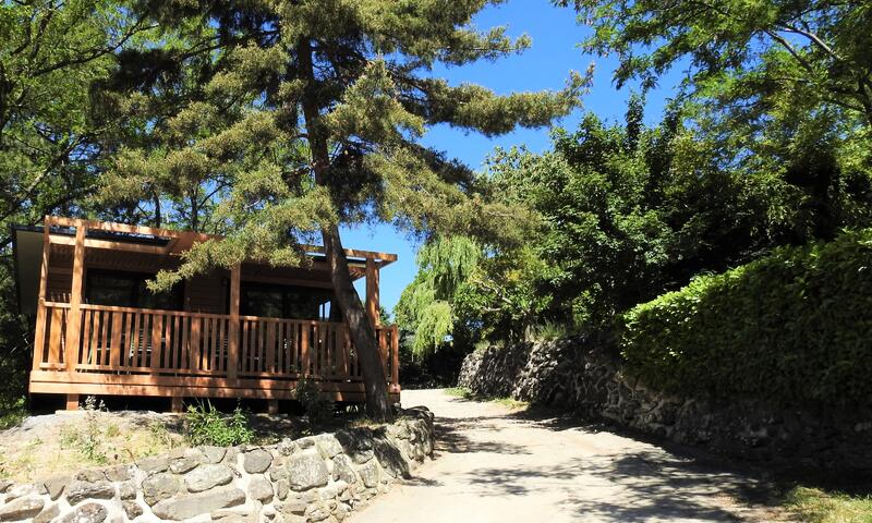 Camping Les Lavandes *** - Darbres - 3
