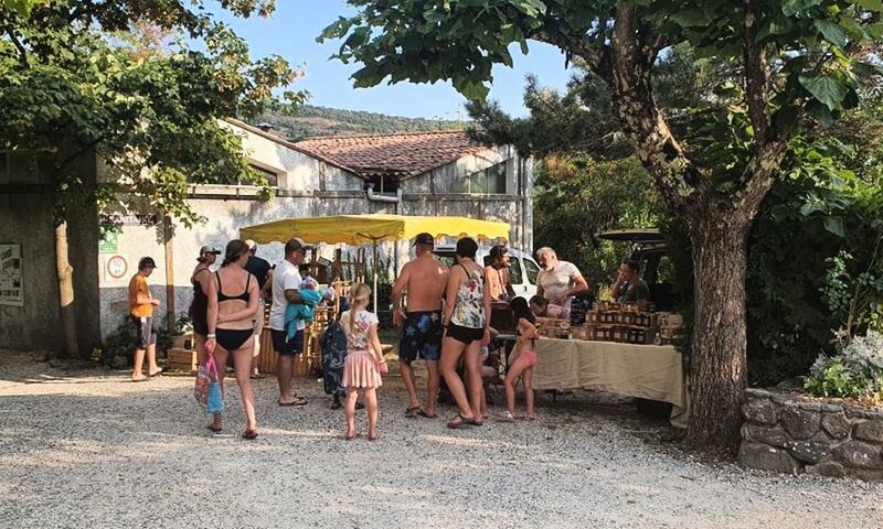 Camping Les Lavandes *** - Darbres - 35