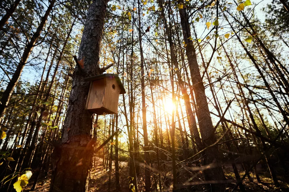 Domaine Terhills Resort Center Parcs