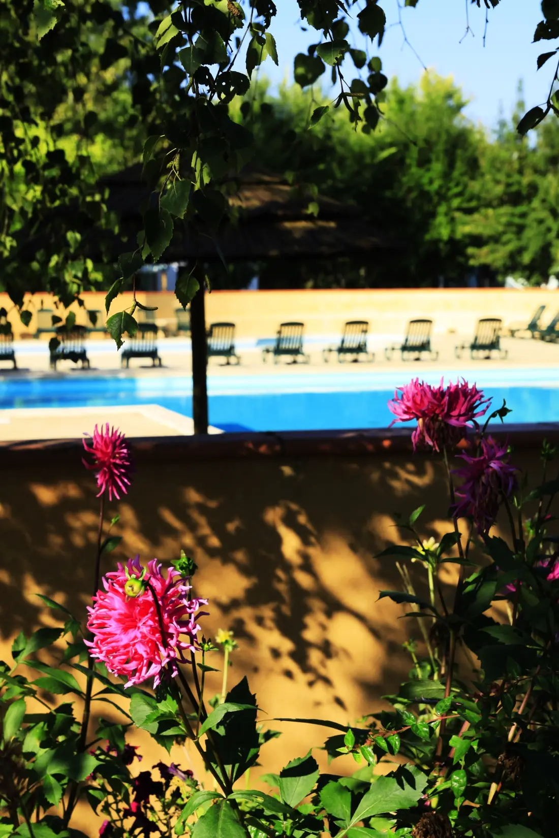 Camping Le Perpetuum 4 étoiles★★★★
