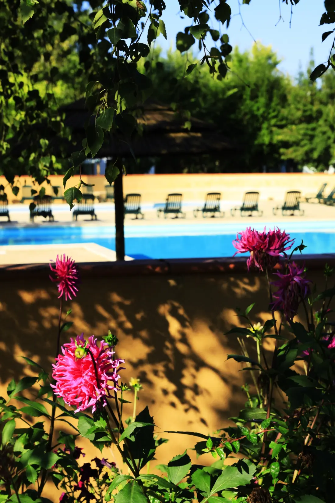 Camping Le Perpetuum 4 étoiles★★★★