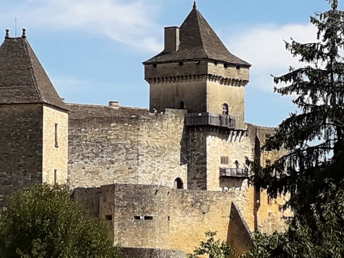 Maison de Vacances Domme
