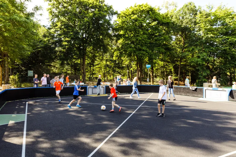 RCN Vakantiepark het Grote Bos 4 étoiles★★★★