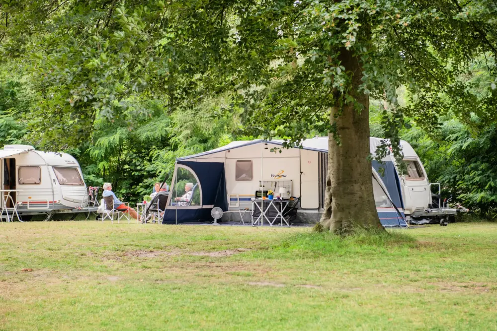 RCN Vakantiepark het Grote Bos 4 étoiles★★★★