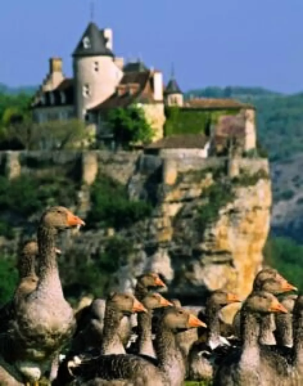 Gaia Ecolodge 3 étoiles★★★