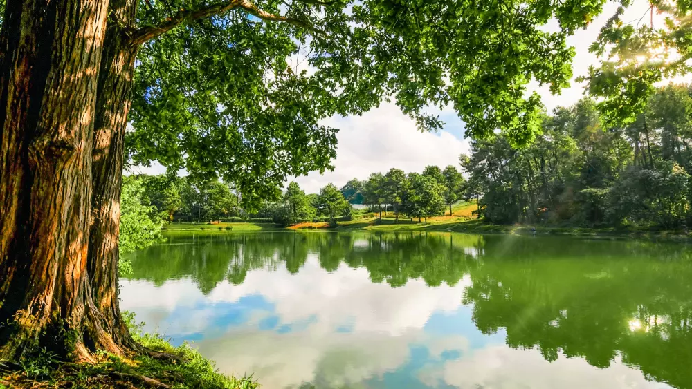 Gaia Ecolodge 3 étoiles★★★