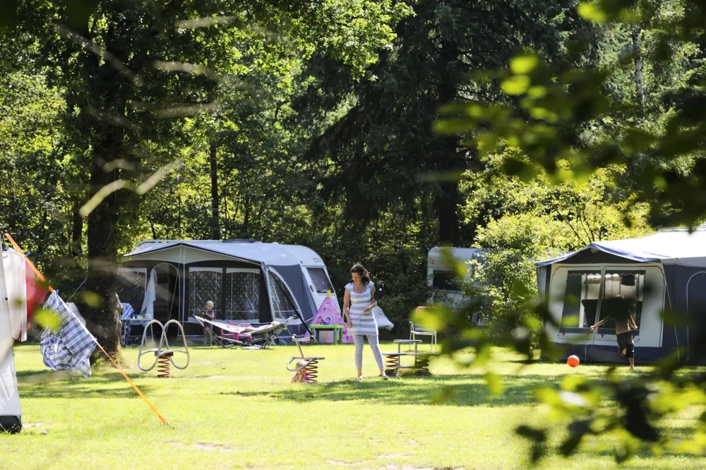 RCN Vakantiepark de Noordster 4 étoiles★★★★