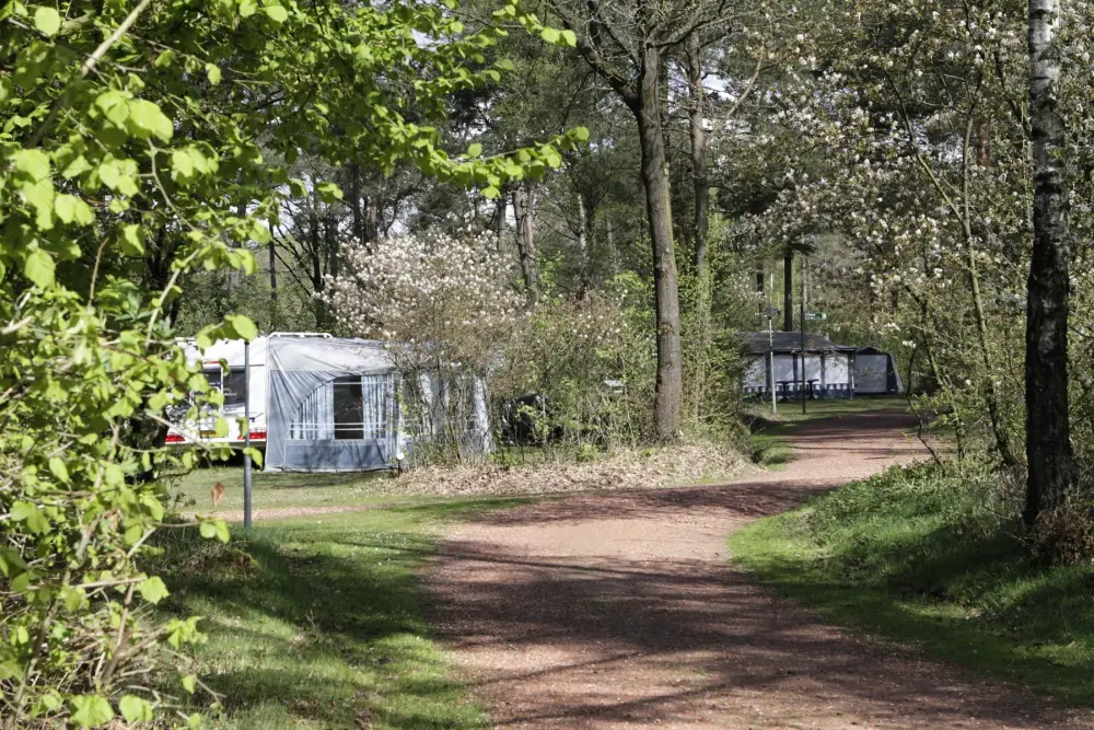 RCN Vakantiepark de Noordster 4 étoiles★★★★