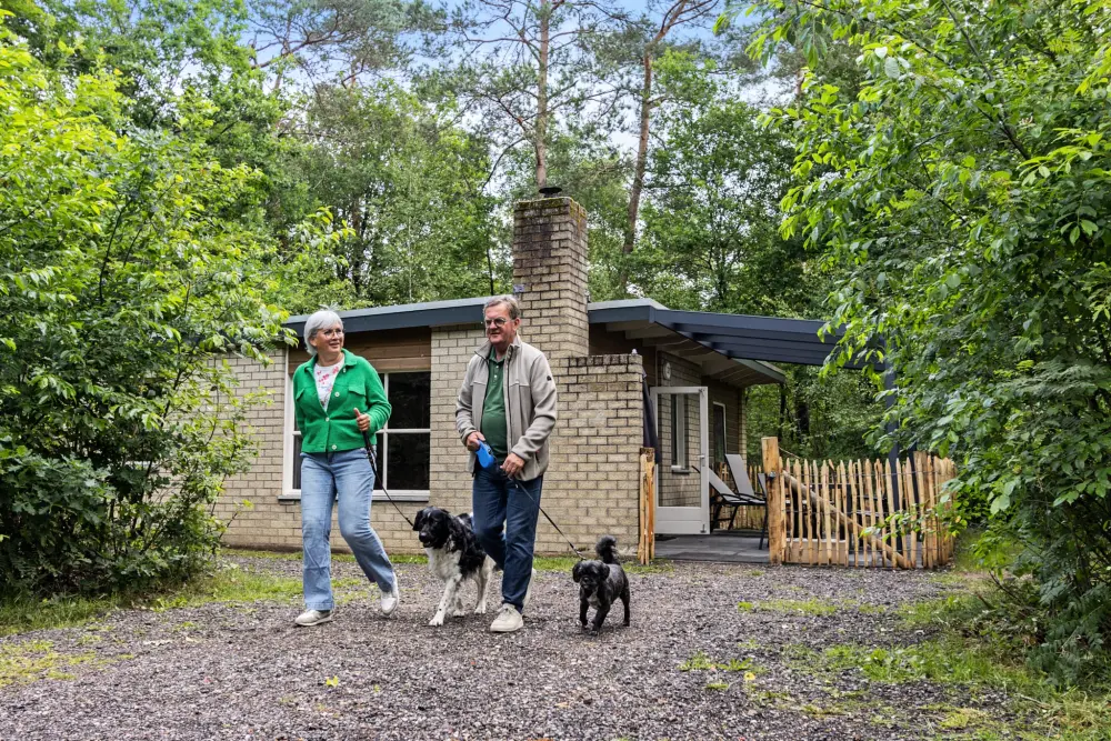 RCN Vakantiepark de Noordster 4 étoiles★★★★
