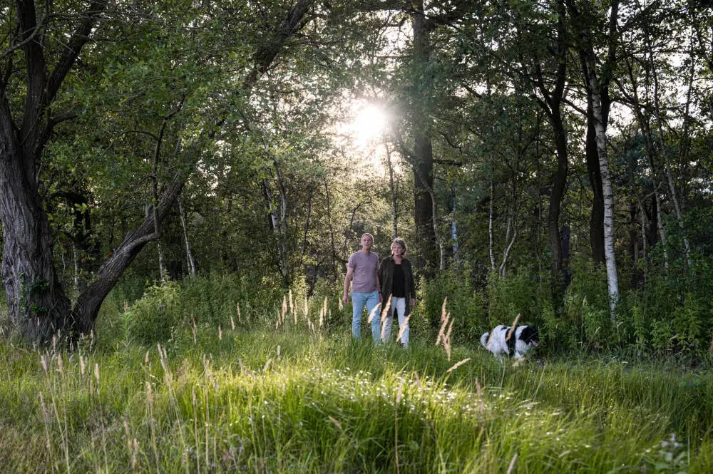 RCN Vakantiepark de Noordster 4 étoiles★★★★
