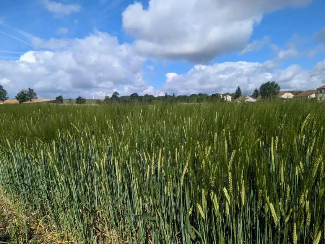 Gîte de France Le pigeonnier 4 épis