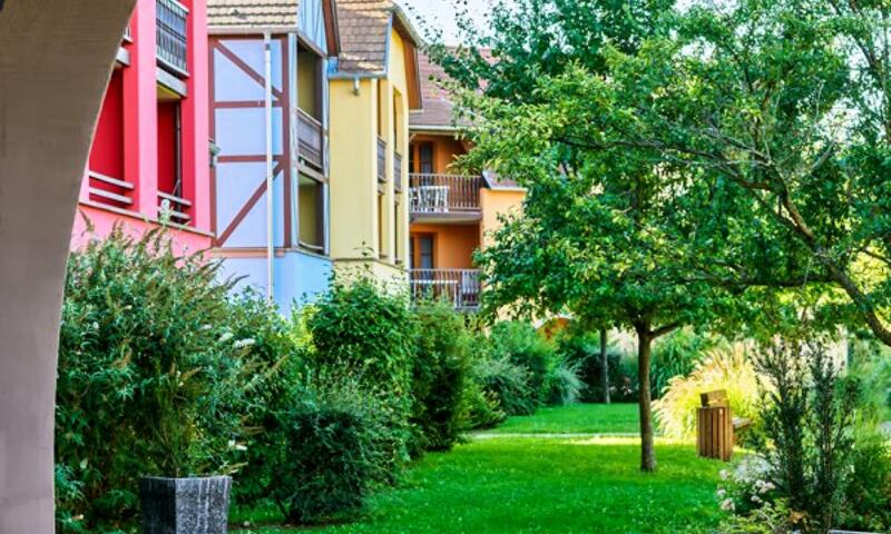 France - Alsace Lorraine Grand Est - Eguisheim - Résidence Pierre & Vacances Le Clos d'Eguisheim 4*