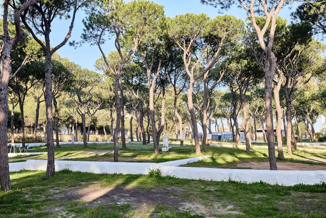 TAIGA Puerto Santa María