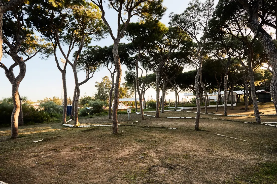 TAIGA Puerto Santa María