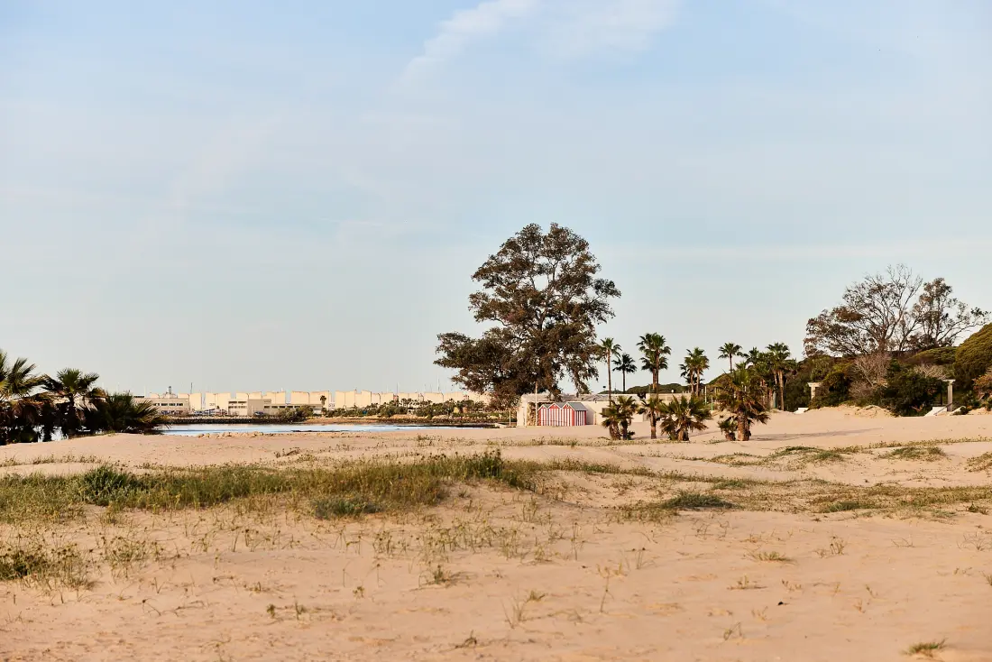 TAIGA Puerto Santa María