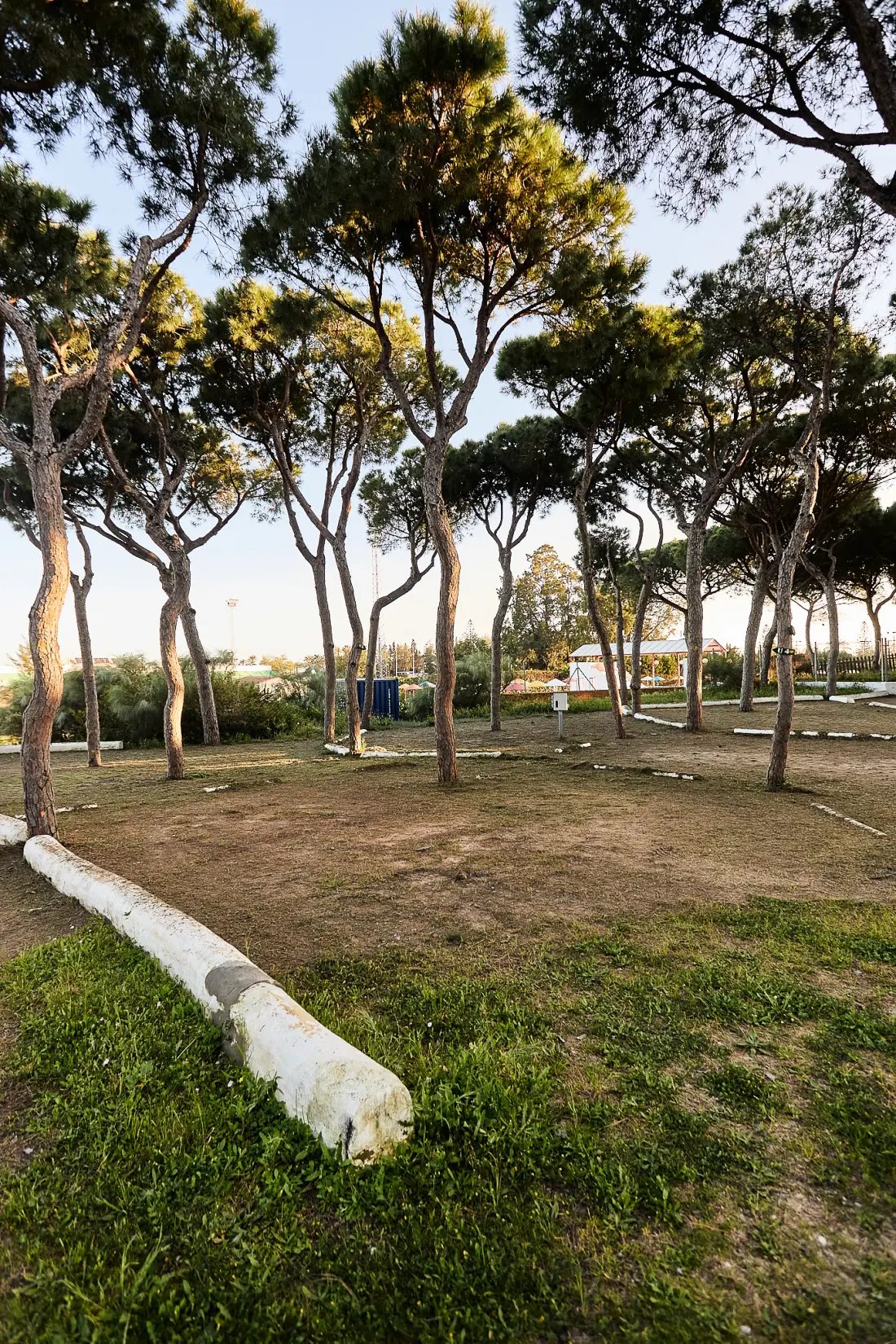 TAIGA Puerto Santa María