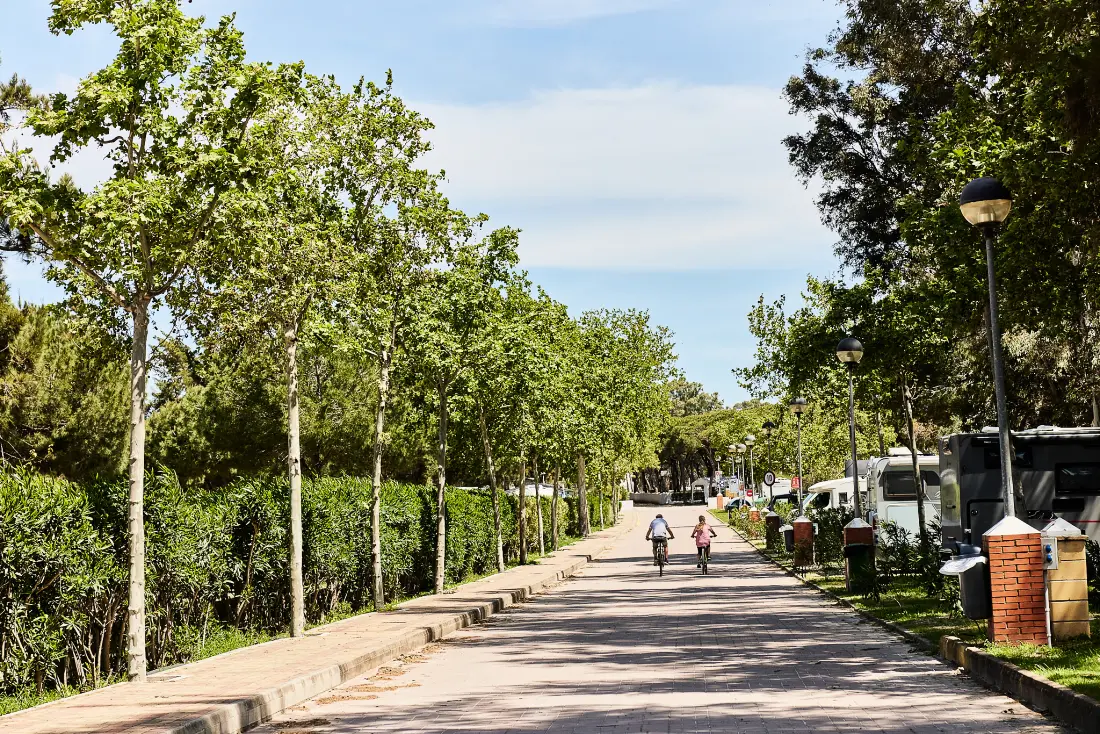 TAIGA Puerto Santa María
