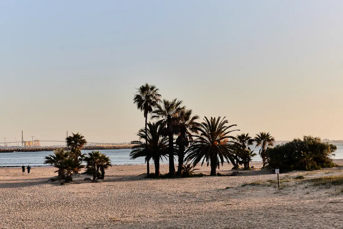 TAIGA Puerto Santa María