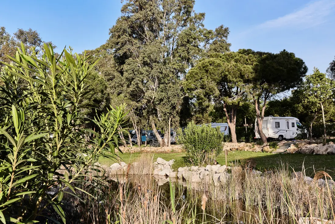 TAIGA Puerto Santa María