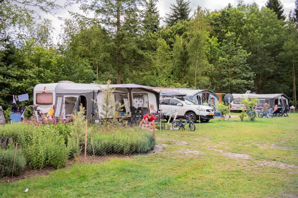 RCN Vakantiepark de Jagerstee 4 étoiles★★★★