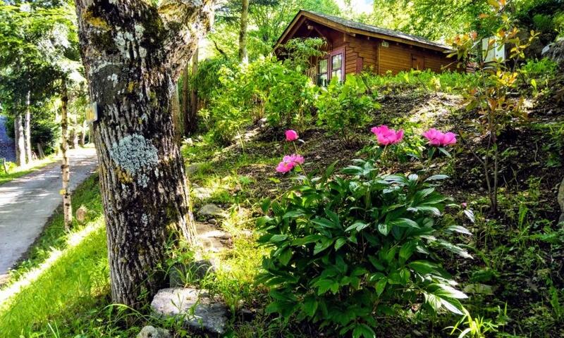 Camping Bedura Park - Era Bordeta - 4