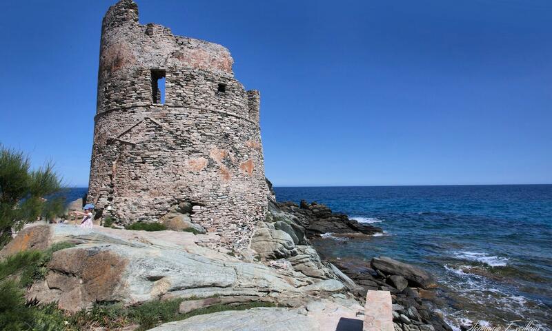 Appartements à Erbalunga - Corse - - Erbalunga - Corse - 23