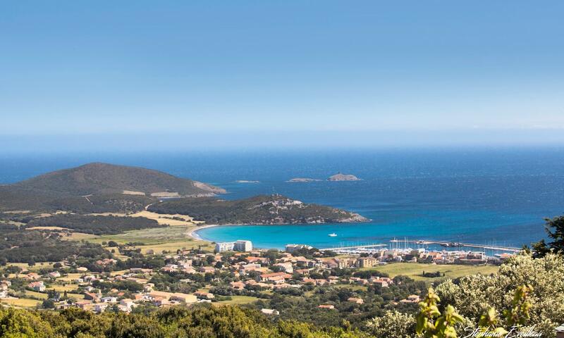 Appartements à Erbalunga - Corse - - Erbalunga - Corse - 25